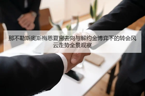 那不勒斯奥斯梅恩夏窗去向与解约金博弈下的转会风云走势全景观察